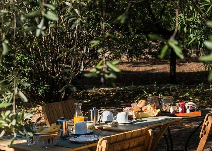 Bed & Breakfast La Closerie Des Iris Castelnau-d'Aude